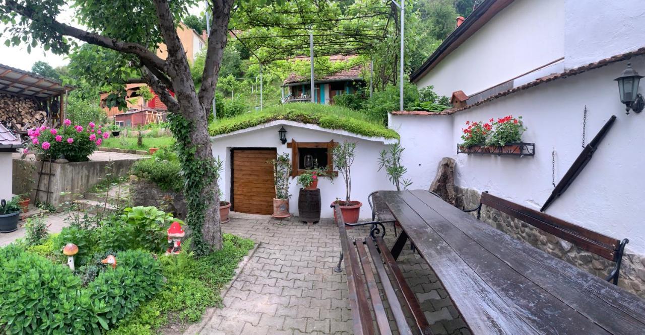 Вілла Casa Santa Сігішоара Екстер'єр фото