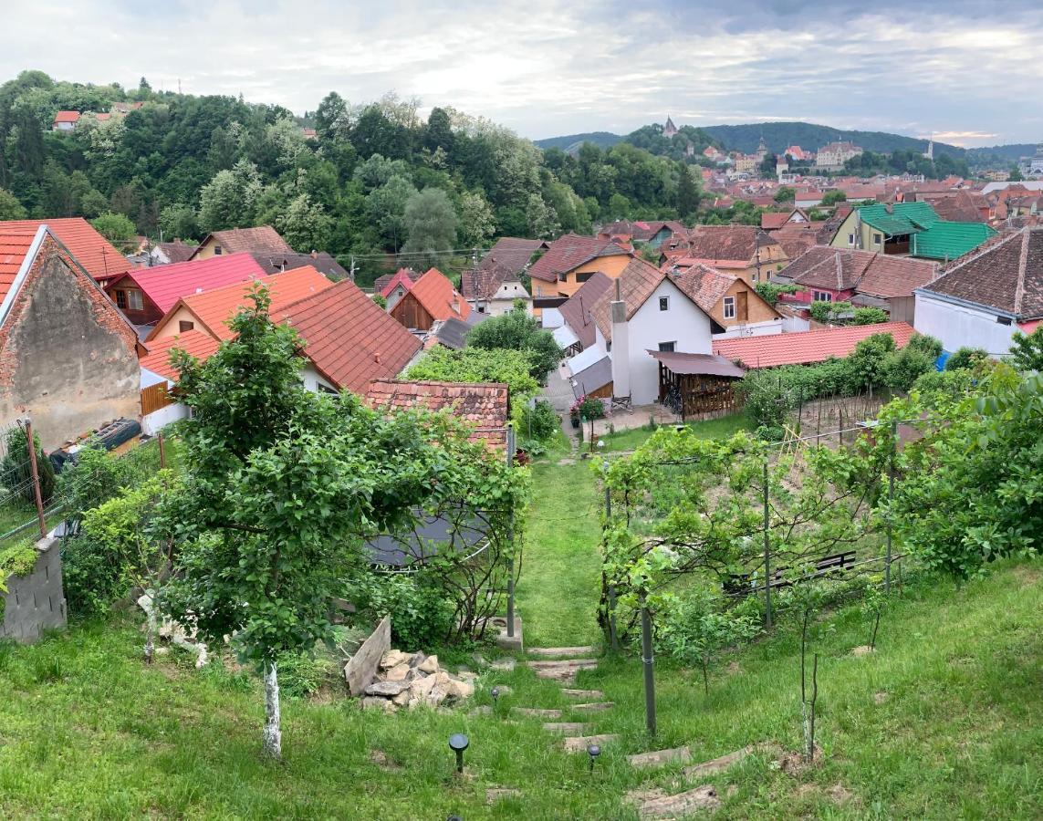 Вілла Casa Santa Сігішоара Екстер'єр фото