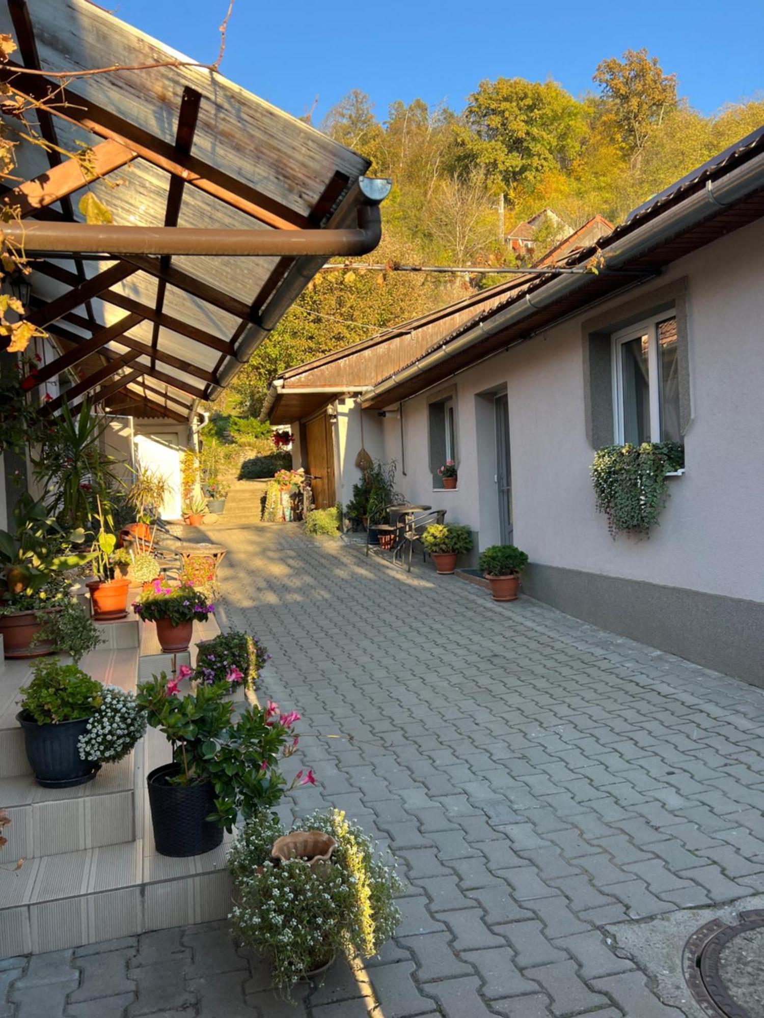 Вілла Casa Santa Сігішоара Екстер'єр фото