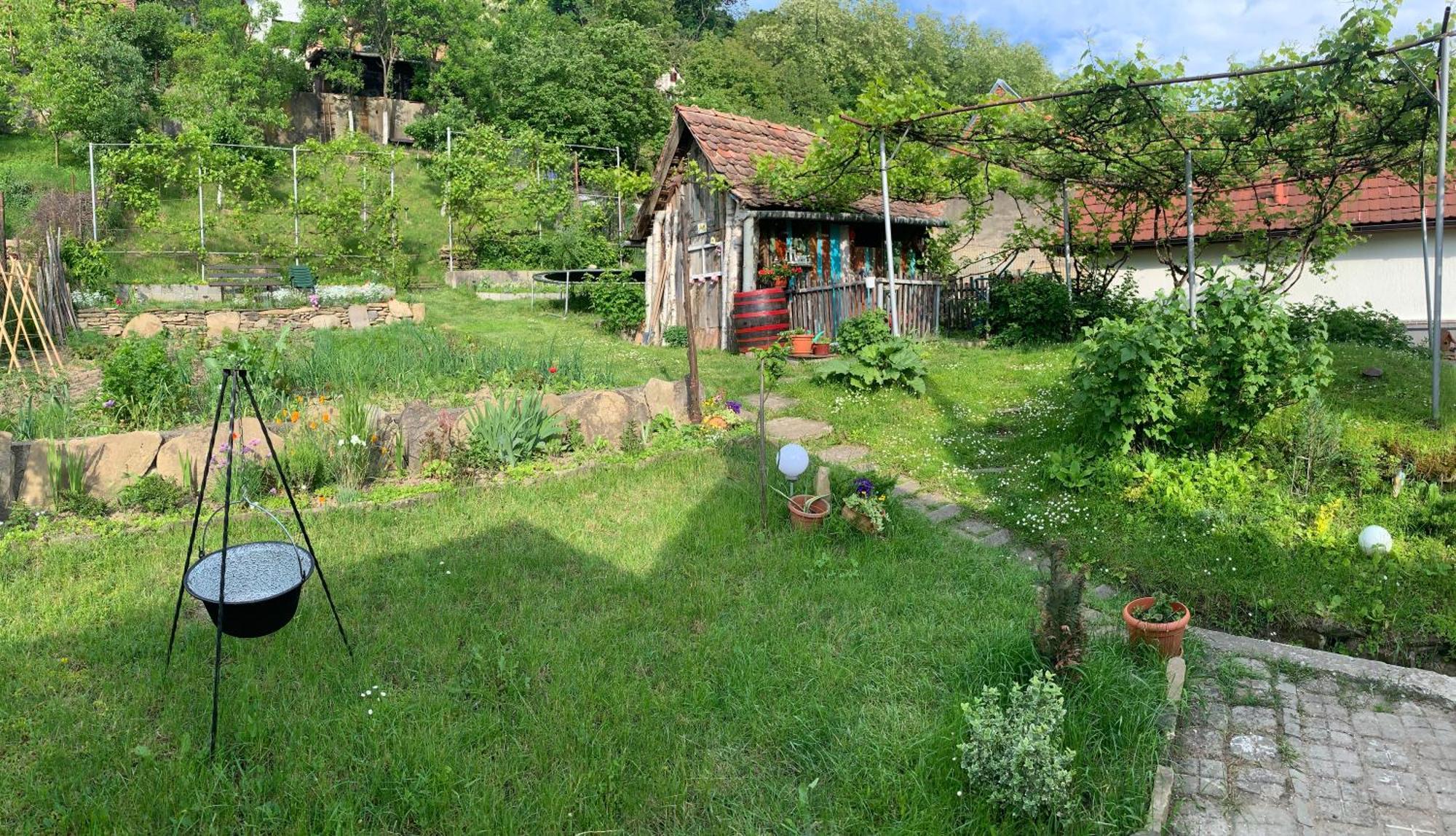 Вілла Casa Santa Сігішоара Екстер'єр фото